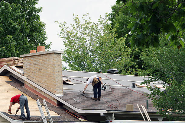 Best Roof Gutter Cleaning  in Travilah, MD